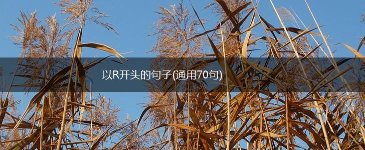 以R开头的句子(通用70句),第1张