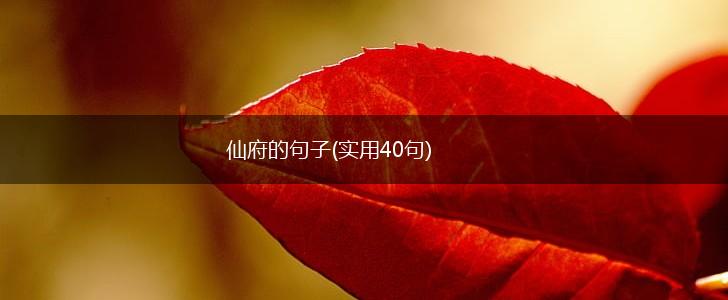 仙府的句子(实用40句),第1张