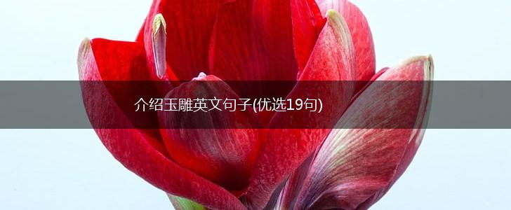 介绍玉雕英文句子(优选19句),第1张
