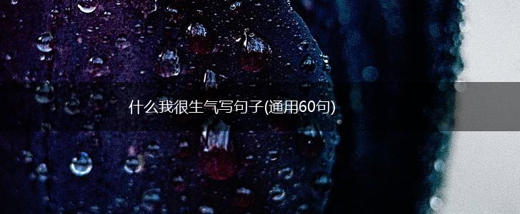 什么我很生气写句子(通用60句),第1张