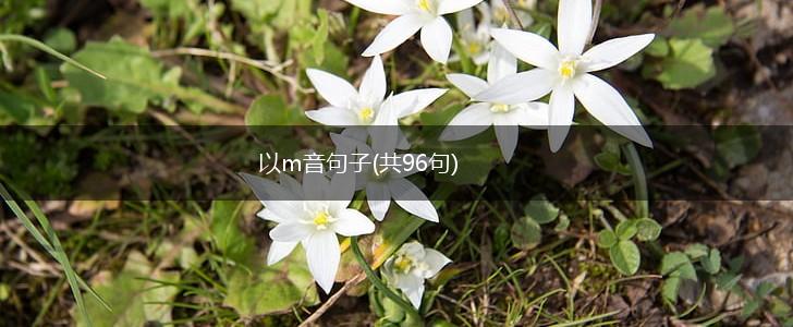 以m音句子(共96句),第1张