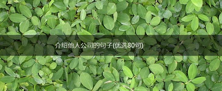 介绍他人公司的句子(优选80句),第1张