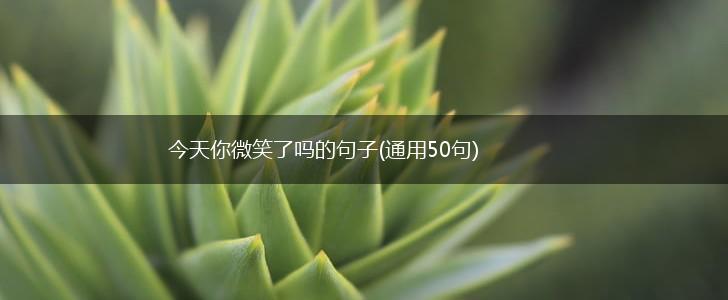 今天你微笑了吗的句子(通用50句),第1张