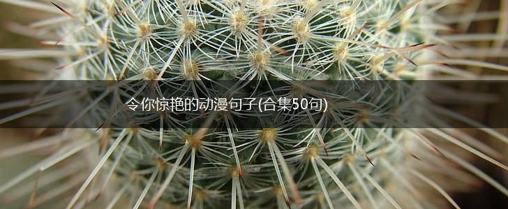 令你惊艳的动漫句子(合集50句),第1张