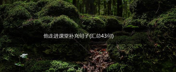 他走进课堂补充句子(汇总43句),第1张