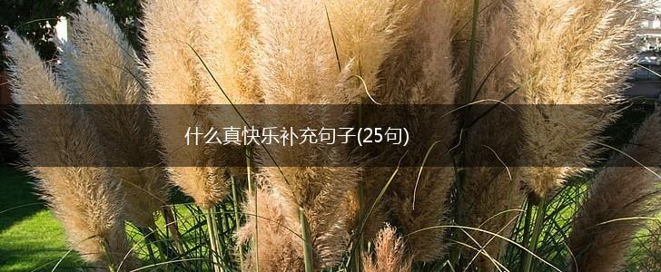 什么真快乐补充句子(25句),第1张
