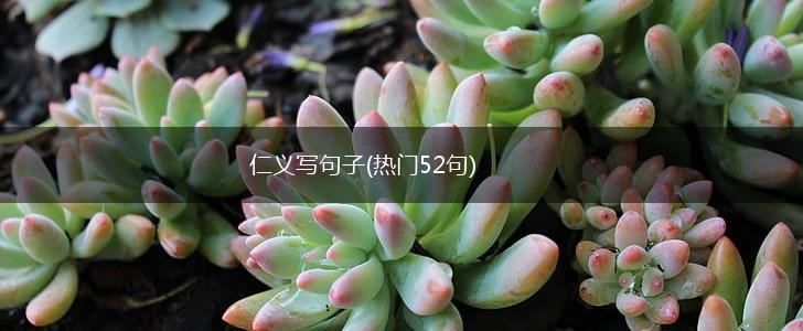 仁义写句子(热门52句),第1张
