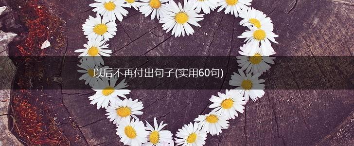 以后不再付出句子(实用60句),第1张