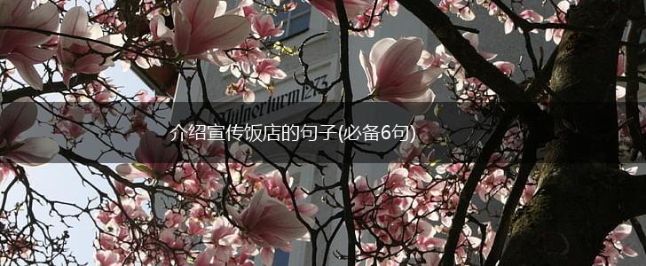 介绍宣传饭店的句子(必备6句),第1张