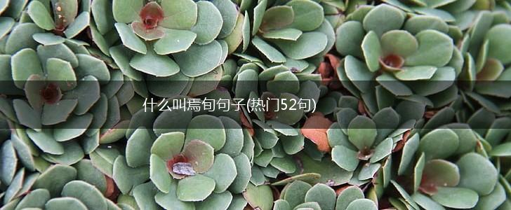 什么叫焉旬句子(热门52句),第1张