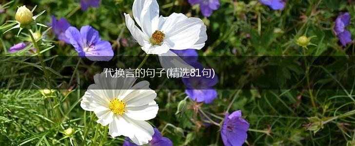代换言的句子(精选81句),第1张