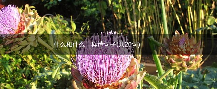 什么和什么一样造句子(共20句),第1张