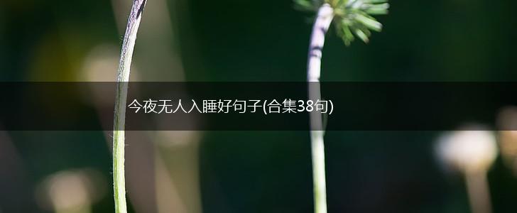 今夜无人入睡好句子(合集38句),第1张