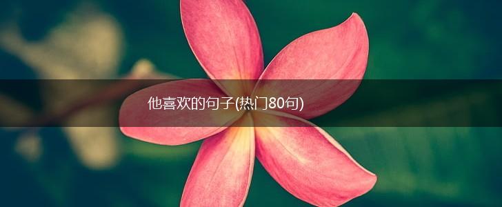 他喜欢的句子(热门80句),第1张