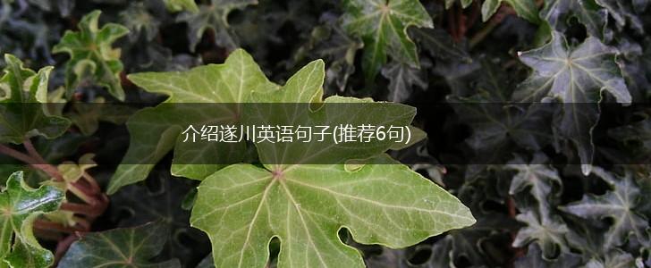 介绍遂川英语句子(推荐6句),第1张