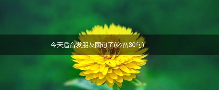 今天适合发朋友圈句子(必备80句),第1张