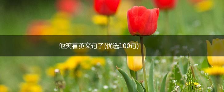 他笑着英文句子(优选100句),第1张