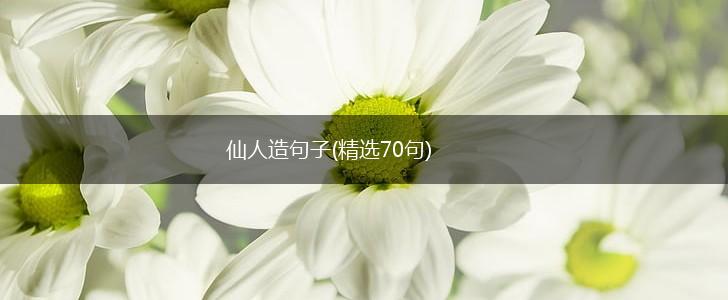 仙人造句子(精选70句),第1张