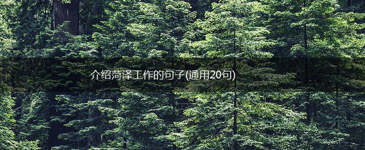 介绍菏泽工作的句子(通用20句),第1张