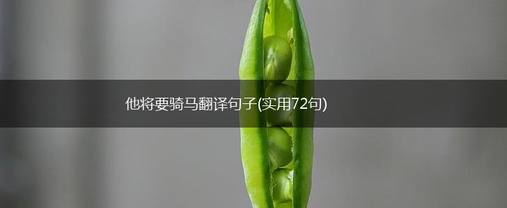 他将要骑马翻译句子(实用72句),第1张