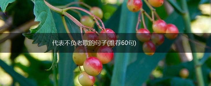 代表不负老歌的句子(推荐60句),第1张