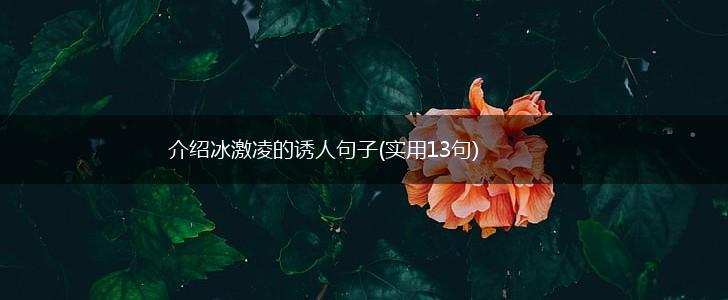 介绍冰激凌的诱人句子(实用13句),第1张
