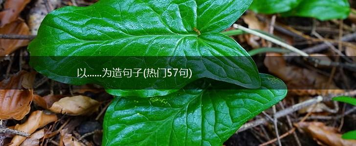 以......为造句子(热门57句),第1张