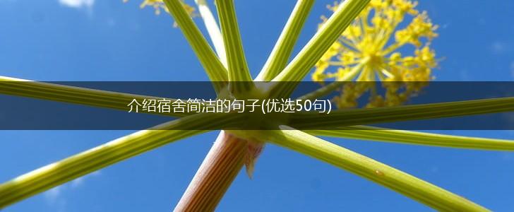 介绍宿舍简洁的句子(优选50句),第1张