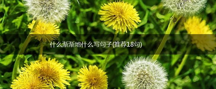 什么渐渐地什么写句子(推荐18句),第1张