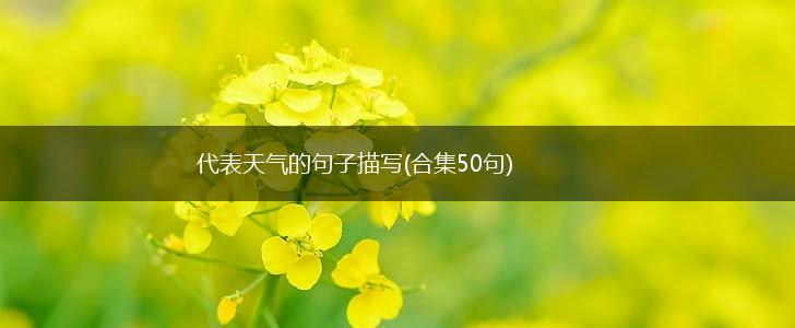 代表天气的句子描写(合集50句),第1张