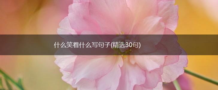 什么笑着什么写句子(精选30句),第1张