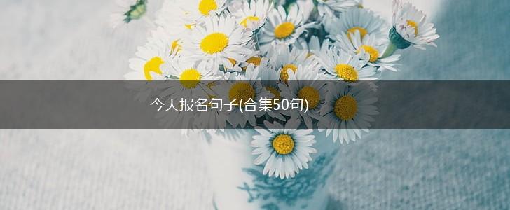今天报名句子(合集50句),第1张