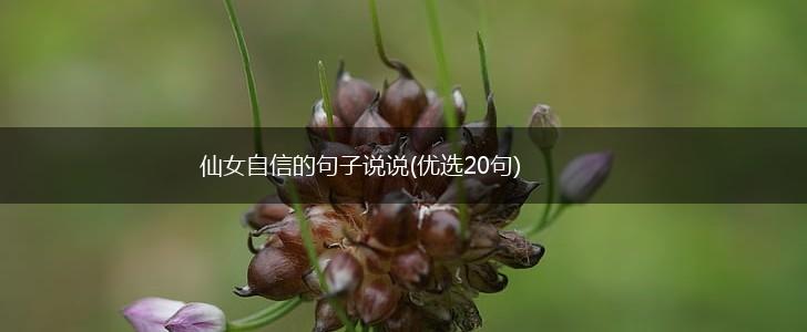 仙女自信的句子说说(优选20句),第1张