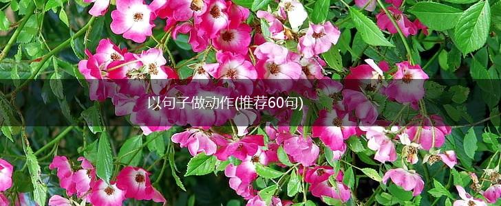 以句子做动作(推荐60句),第1张