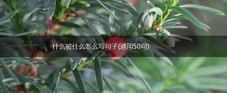 什么被什么怎么写句子(通用50句),第1张