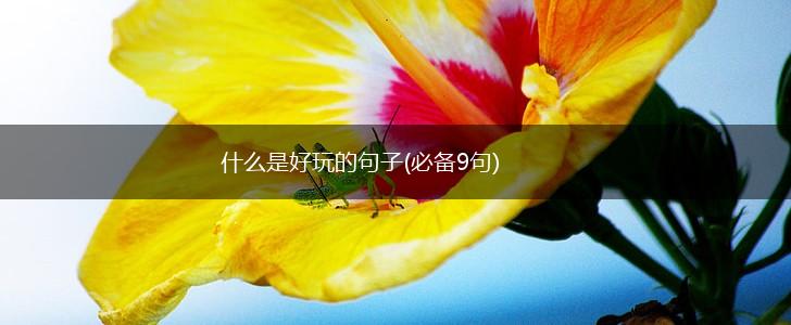 什么是好玩的句子(必备9句),第1张