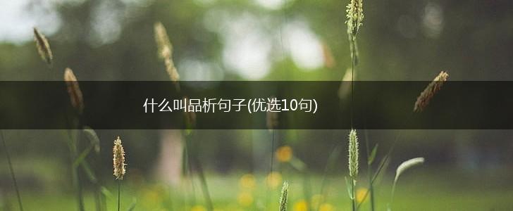 什么叫品析句子(优选10句),第1张
