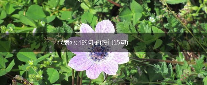 代表邓州的句子(热门15句),第1张