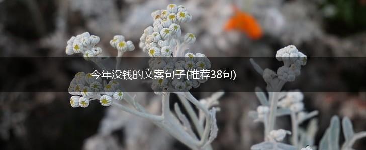 今年没钱的文案句子(推荐38句),第1张