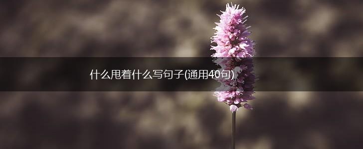 什么甩着什么写句子(通用40句),第1张