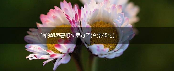他的朝思暮想文案句子(合集45句),第1张