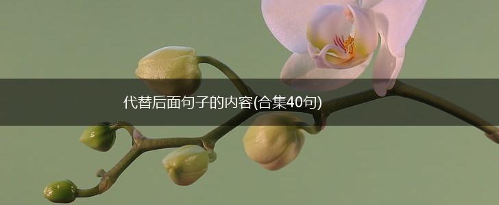代替后面句子的内容(合集40句),第1张