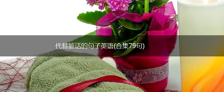 代替脏话的句子英语(合集79句),第1张