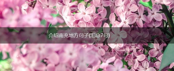 介绍南充地方句子(汇总7句),第1张