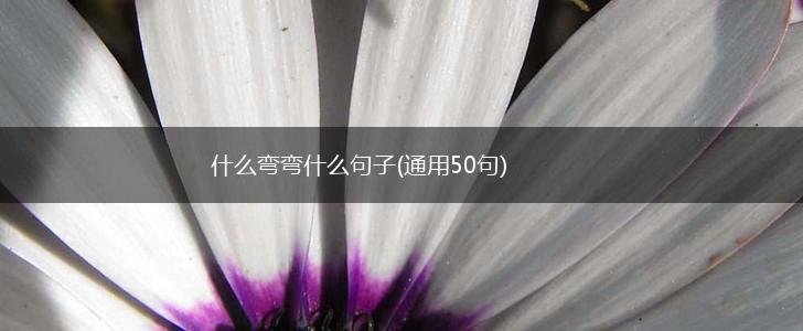 什么弯弯什么句子(通用50句),第1张
