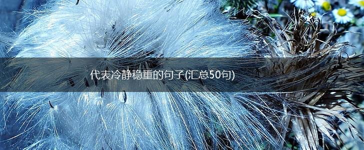 代表冷静稳重的句子(汇总50句),第1张