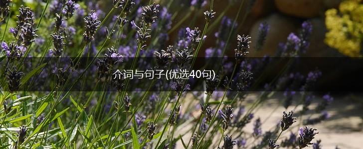 介词与句子(优选40句),第1张