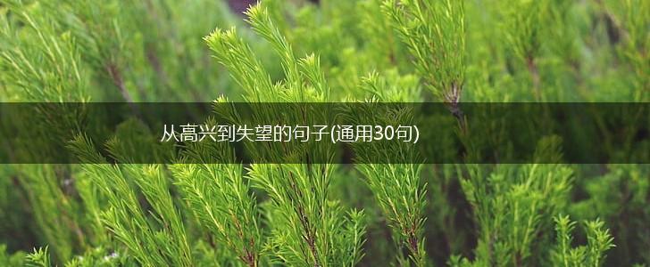从高兴到失望的句子(通用30句),第1张