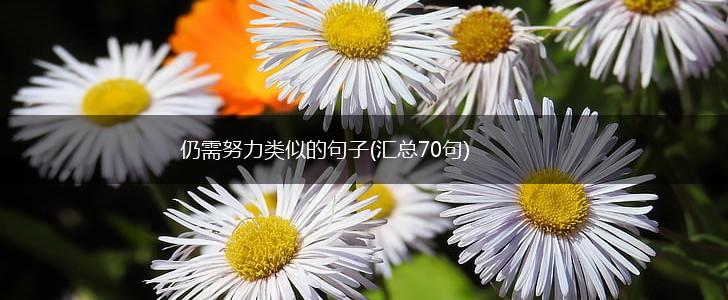 仍需努力类似的句子(汇总70句),第1张