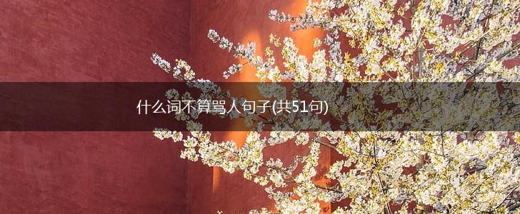 什么词不算骂人句子(共51句),第1张